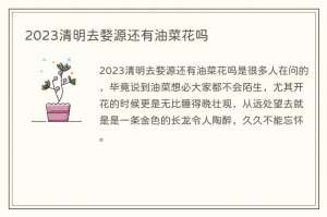 2023清明去婺源还有油菜花吗